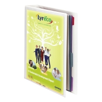 Esselte A4 White 4D-Ring Presentation Binder 20Mm