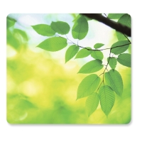 FELLOWES EARTH SERIES MOUSE PAD - LEAVES DESIGN
