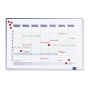 LEGA 490000 ACCENT LINEAR WEEKLY PLANNER COOL