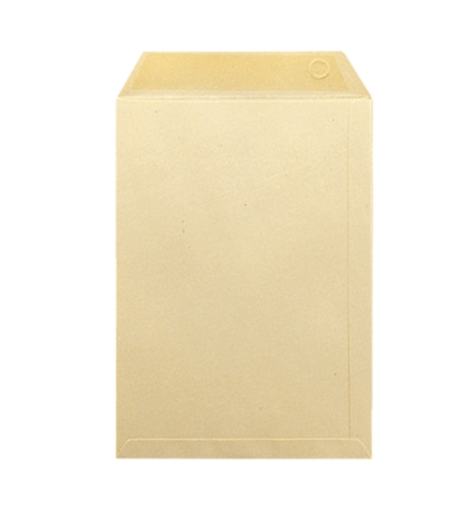 Bags 229x324mm gummed 120g cream - box of 250