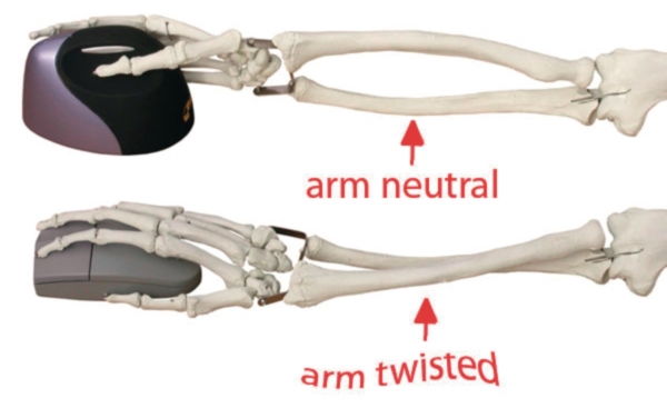 Evoluent 4 computermuis optisch ergonomisch zwart/zilver - draadgebonden