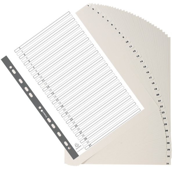 Dividers in PP A4 1-31 tabs white