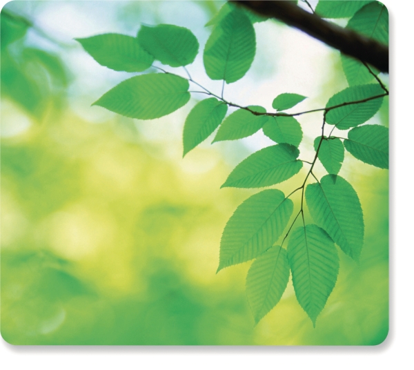 Fellowes 5903801 mouse pad extra thin leaves