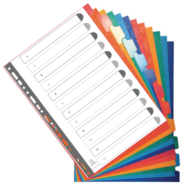 Herbeschrijfbare neutrale tabbladen in karton A4 12 tabs