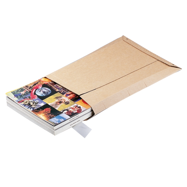 PK10 ENVELOPES CAR 262X275 BRW