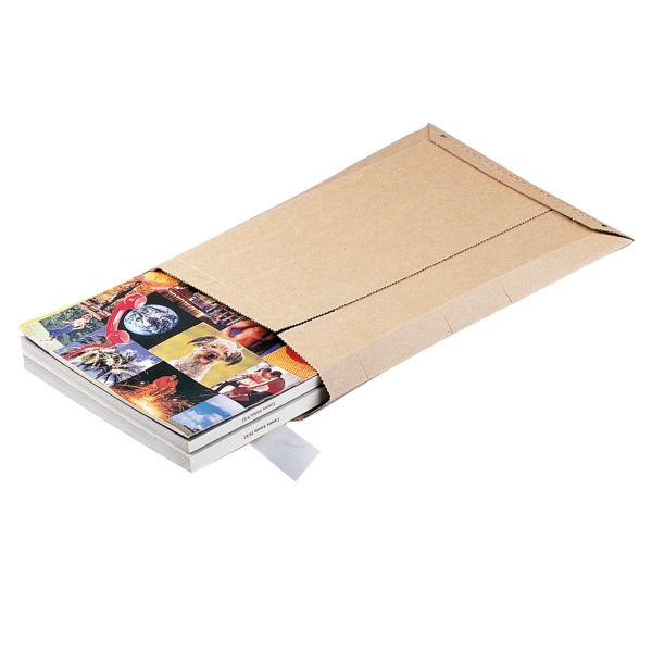 PK10 ENVELOPES CAR 353X518 BRW