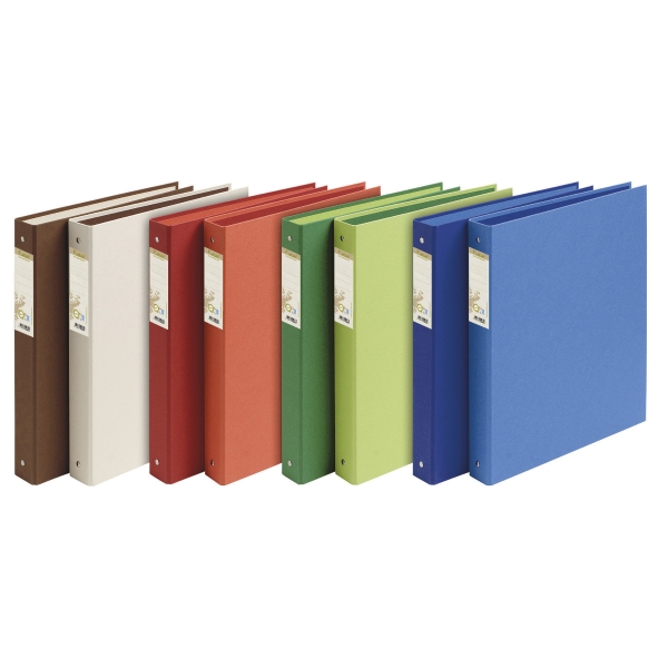 PK10  FOREVER 2-RING BINDER 30MM  ASSTD