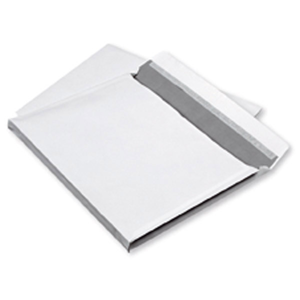 BX250 ENVELOPE GUSSET P/S 140G B4 WH