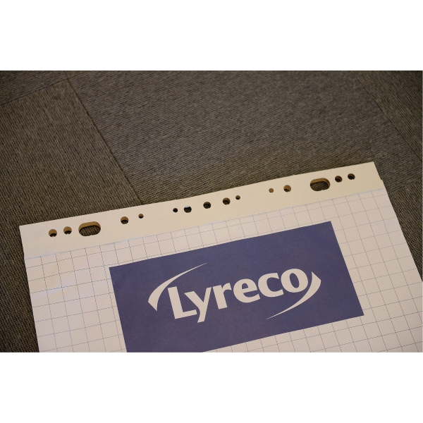 LYRECO FLIPCH. PADS SQ. 70G 65X100 50SH