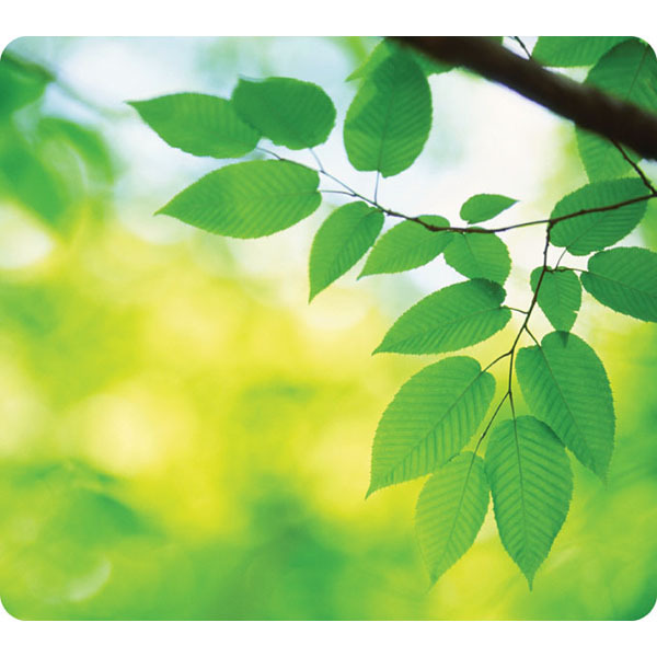 Fellowes Earth Series Mouse Pad - Leaves Design