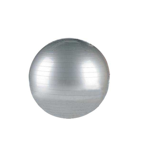 INTERSTUHL 8921 SITTING BALL SILV