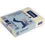 RAMETTE 500 FEUILLES PAPIER LYRECO A4 80G IVOIRE