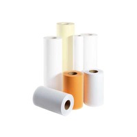 PPC-PAPER ROLL 1159 297MMX175M 80G