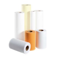 INKJET PAPER ROLL MATT 914MMX33M 120G