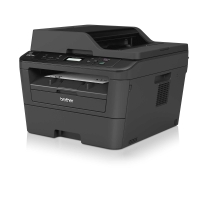 BROTHER DCP-L2540DN