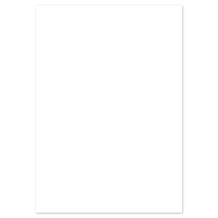 PK10 C/BOARD PAPER A4 200G  WHITE