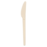 PK50 ABENA BIODEGRADABLE KNIFE 170MM