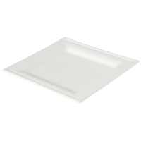 BX50 DUNI BAGASSE PLATE SQRD 16X16CM WH