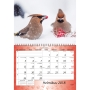 AJASTO LUONTO WALL CALENDAR 290X210MM